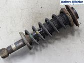 Rear shock absorber/damper