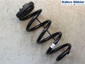 Rear coil spring