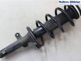 Front shock absorber with coil spring