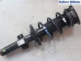 Front shock absorber with coil spring