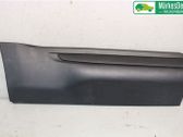 Listón embellecedor de la puerta delantera (moldura)