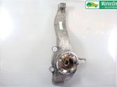Front wheel hub spindle knuckle