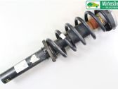 Front shock absorber with coil spring