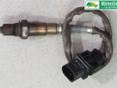 Sonde lambda