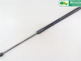 Jambe de force de hayon