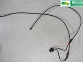 Tailgate/trunk strut/damper
