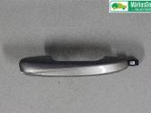 Manecilla externa puerta delantera