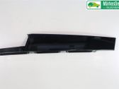 Front door trim (molding)
