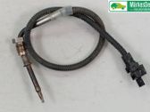 Abgastemperatursensor