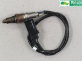 Sonde lambda