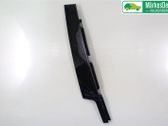 Listón embellecedor de la puerta delantera (moldura)