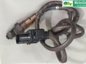 Sonde lambda