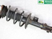 Amortiguador delantero con muelle espiral