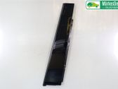 Listón embellecedor de la puerta delantera (moldura)