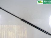 Jambe de force de hayon
