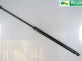 Jambe de force de hayon