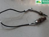 Sensor de temperatura del escape