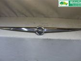Tailgate/trunk/boot exterior handle