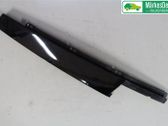 Front door trim (molding)