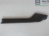 Front door trim (molding)