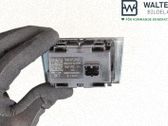 Botón interruptor de luz de peligro