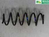 Muelle espiral trasero