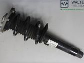 Front shock absorber with coil spring