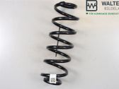 Rear coil spring