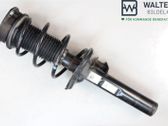 Front shock absorber with coil spring