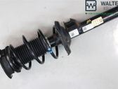 Front shock absorber with coil spring