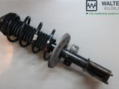 Front shock absorber with coil spring