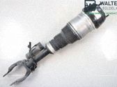 Front shock absorber with coil spring