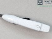 Manecilla externa puerta delantera