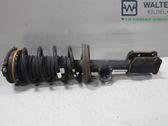Front shock absorber with coil spring