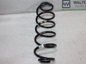 Muelle espiral trasero