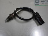 Sonde lambda