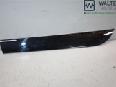 Rear door trim (molding)