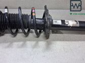 Amortiguador delantero con muelle espiral
