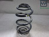 Muelle espiral trasero