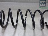 Muelle espiral trasero