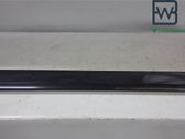 Rear door trim (molding)
