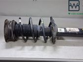 Front shock absorber with coil spring