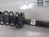 Amortiguador delantero con muelle espiral