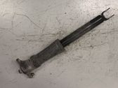Rear shock absorber/damper