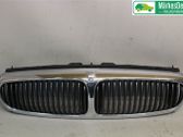Front bumper lower grill