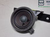 Headliner speaker