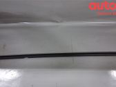 Rear door trim (molding)