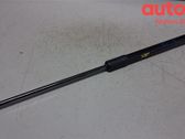 Front bonnet/hood damper/strut