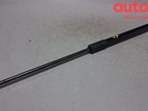 Front bonnet/hood damper/strut