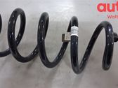 Rear coil spring